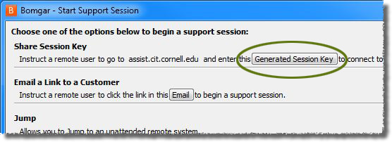 download bomgar representative console for windows