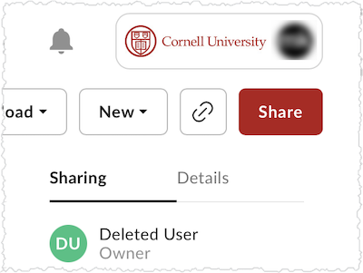 Ownerless files indicate a Deleted User owns them.