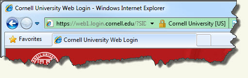 Internet Explorer 8