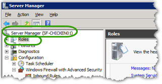 Select Server Manager, then Roles