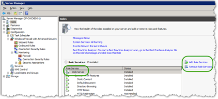 After install, role service is showing in Server Manager