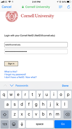 Picture of NetID and password entered and Sign In selected