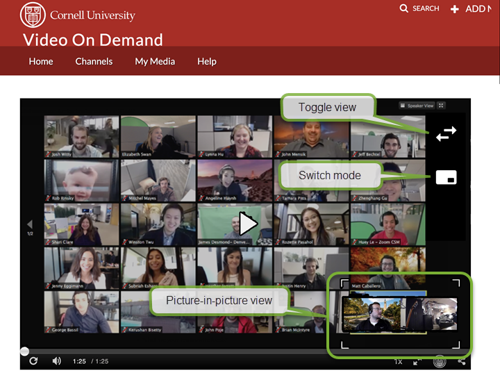 A VOD video created from a Zoom cloud recording with multiple views shows the Toggle View icon (two arrows), the Switch mode icon which allows switching to a different view, and the Picture-in-picture thumbnail of views not currently shown.