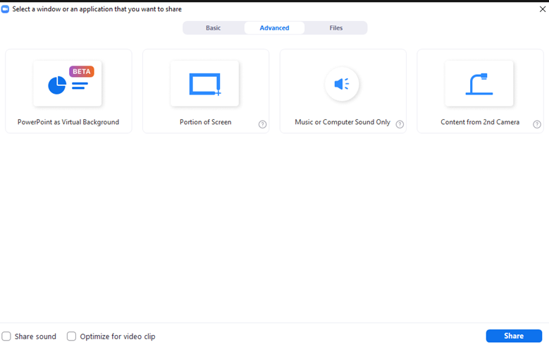 dual camera zoom meeting