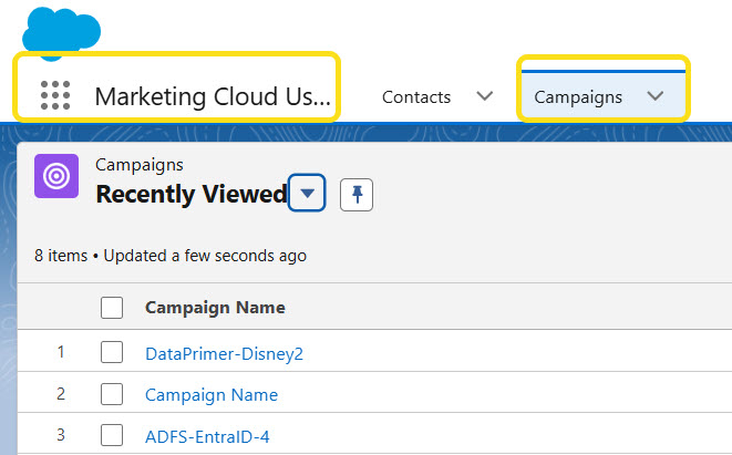 Screenshot of Salesforce open to Marketing Cloud Users and Campaigns