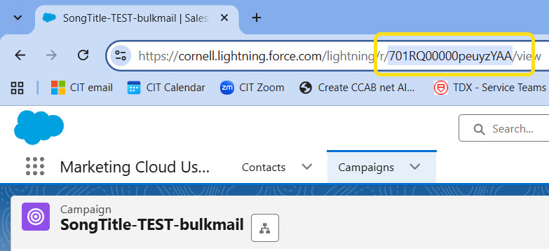 screenshot showing the CampaignID in the Salesforce web application
