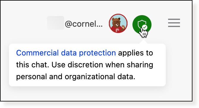On mouse over of the shield icon, the text reads commercial data protection applies to this chat. use discretion when sharing personal and organizational data.