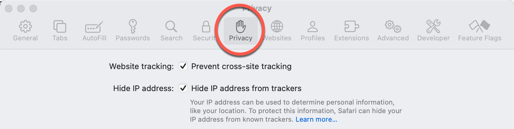 Privacy is the hand icon