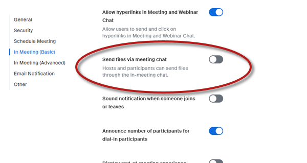 Zoom In Meeting (Basic) settings, showing Send files via meeting chat option unselected (gray)
