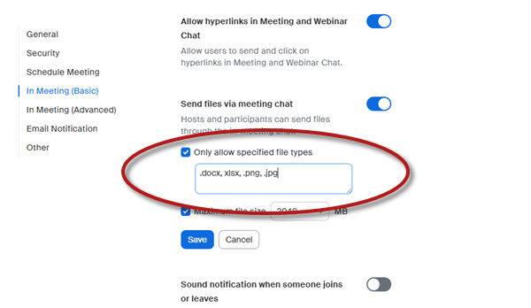 The Zoom Settings screen with the option Send files vit meeting chat circled and enabled with its checkbox checked