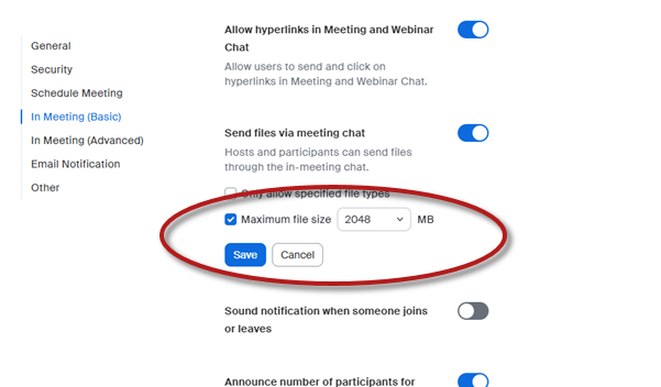 Zoom Settings screen showing the Maximum file size option checked with blue Save button visible.