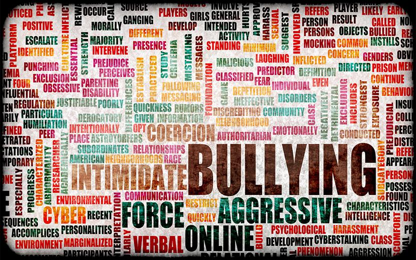Words describing cyber bullying