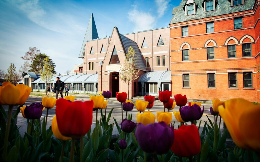 Tulips outside Sage Hall in spring.