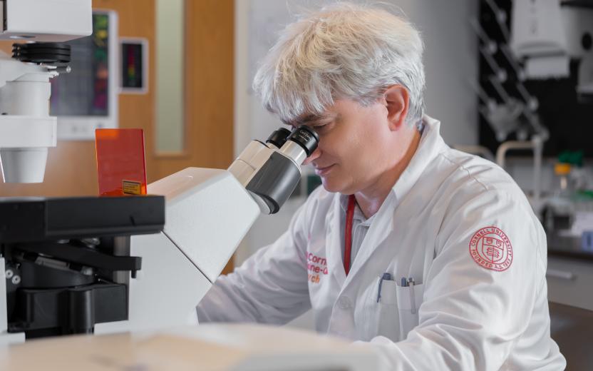 A Weill Cornell Medicine scientist looks into a microscope