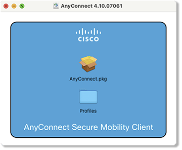 Cisco AnyConnect unpkg panel