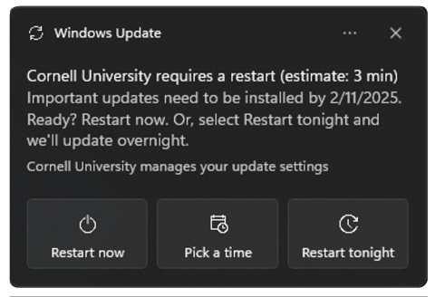 Popup window with updating options
