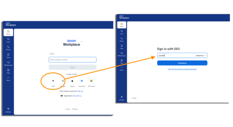 log in using SSO