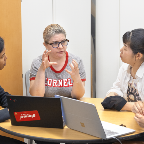 Cornell community members around a conferece table