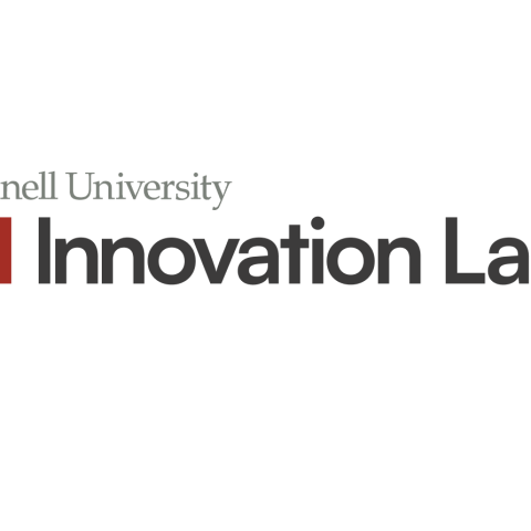 AI Innovation Lab text logo
