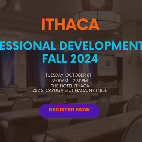 Title PMI Professional Development Day