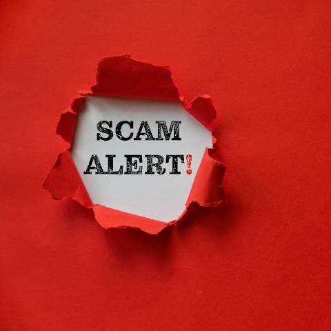 Red paper ripped open to reveal the words "scam alert!"