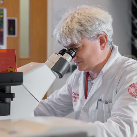 A Weill Cornell Medicine scientist looks into a microscope
