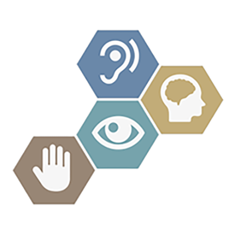 Image showing icons in interconnecting blocks that suggest manual visual mental and aural accessibility