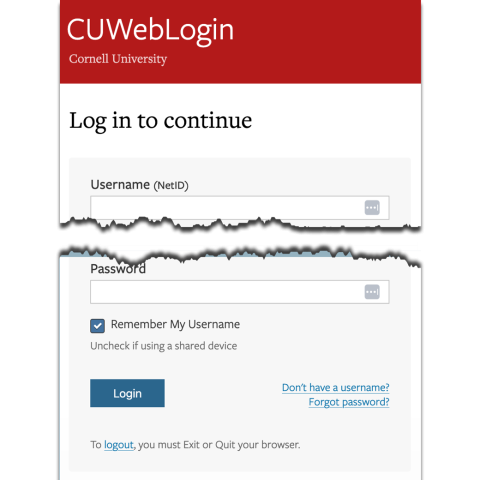 Image shows a tear between username and password fields