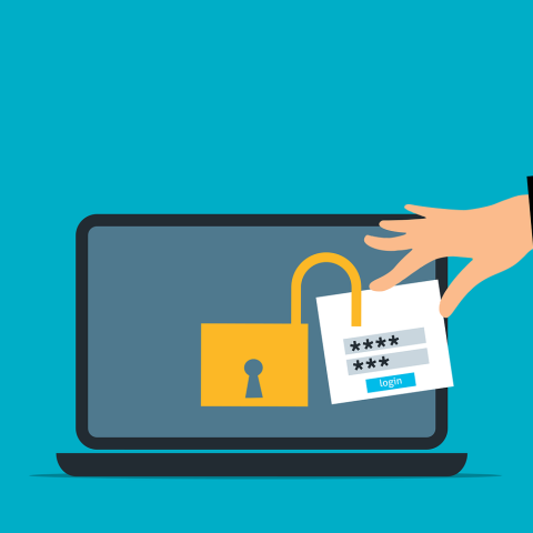 A criminal uses a stolen password.